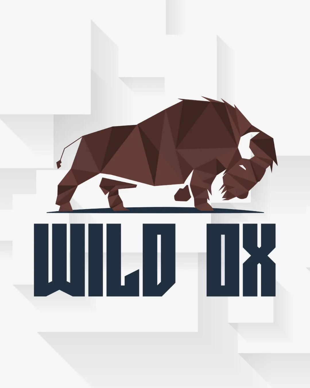 Wild Ox web design and branding work for Southwest Florida businesses